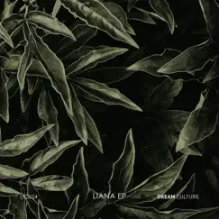 Liana - Single by Kotu, trustless & LADS album reviews, ratings, credits