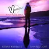 Shining Light (Version 2.0 Beach House Remix) - Single album lyrics, reviews, download