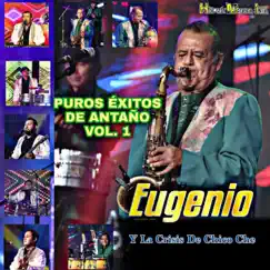 Puros Éxitos de Antaño ,Vol. 1 by Eugenio y La Crisis de Chico Che album reviews, ratings, credits