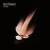 Dust Flowers - EP album lyrics, reviews, download