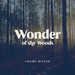 Wonder of the Woods - Single by Young Mister album reviews, ratings, credits