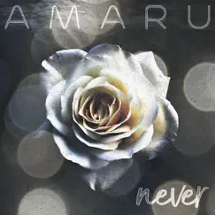 Never (Single Mix) - Single by Amaru album reviews, ratings, credits