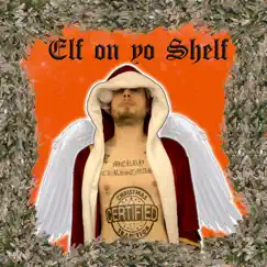 Elf on Yo Shelf - Single by Phil Chapman album reviews, ratings, credits