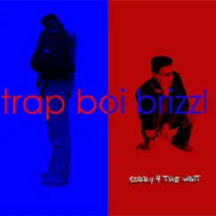 Bank / Brain - Single by Trap Boi Brizzl album reviews, ratings, credits