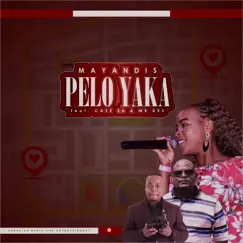 Pelo Yaka (feat. Case SA & Mr Des) Song Lyrics