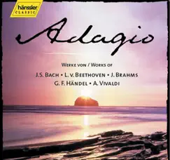 Violin Concerto in D major, Op. 77: II. Adagio Song Lyrics