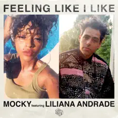 Feeling Like I Like (feat. Liliana Andrade) Song Lyrics