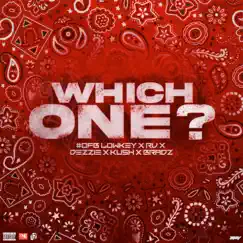 Which One (feat. Rv & Dezzie) - Single by Lowkey, Kush & Bradz album reviews, ratings, credits