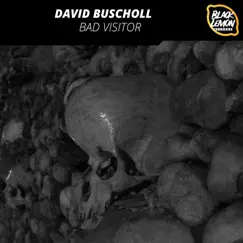 Bad Visitor - Single by David Buscholl album reviews, ratings, credits