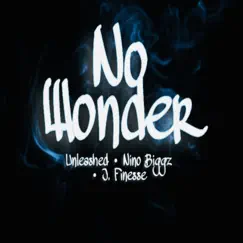 No Wonder (feat. J. Finesse & Nino Biggz) Song Lyrics