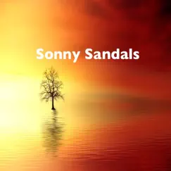 Classical Guitar Vol. 2 by Sonny Sandals album reviews, ratings, credits