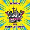 Never Letting Go - Single album lyrics, reviews, download