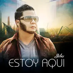Tu Amor (feat. El Manu) [remix] Song Lyrics