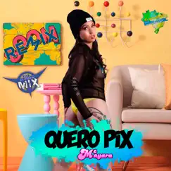 Quero Pix (Remix) [feat. Mc Mayara] Song Lyrics