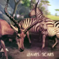 Leaves/Scars by Beware of Safety album reviews, ratings, credits