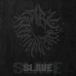 Slave - Single by Dark Confidence album reviews, ratings, credits