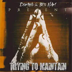 Trying To Maintain - Single by Domino & Broham album reviews, ratings, credits