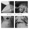 What Is Love (feat. Kyler Keith Sr. & Alexnda Tha Great) - Single album lyrics, reviews, download