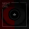 Night Owl - Single album lyrics, reviews, download