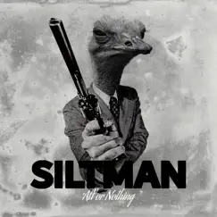 All or Nothing - Single by Siltman album reviews, ratings, credits