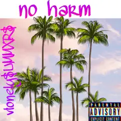 No Harm Song Lyrics
