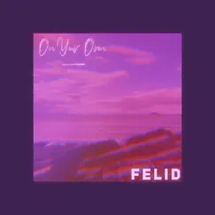 On Your Own - Single by Felid album reviews, ratings, credits