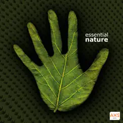 Essential Nature by AXS Music album reviews, ratings, credits