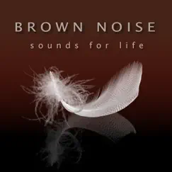 Brown Noise for Sleep by Sounds for Life album reviews, ratings, credits