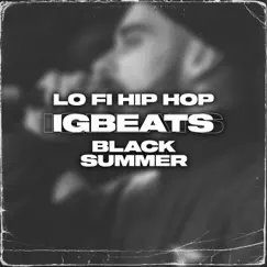 Lo Fi Boom Bap Beat [Lo Fi Boom Bap Beat [Black Summer]] Song Lyrics