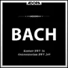 Osteroratorium für Ensemble, BWV 249, "Kommt, eilet und laufet": No. 6, Sanfte soll mein Todeskummer (Aria Tenor) song lyrics