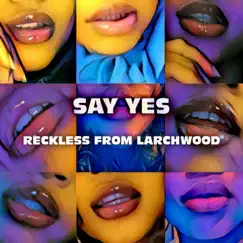 SAY YES - Single (Radio Edit) by Larchwood Boyz album reviews, ratings, credits