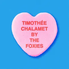 Timothée Chalamet Song Lyrics