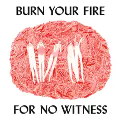 Burn Your Fire For No Witness (Deluxe Edition) by Angel Olsen album reviews, ratings, credits