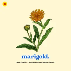 Marigold (feat. Ari Lennox & Mannywellz) - Single by Dave James album reviews, ratings, credits