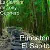 Princeton El Sapito - Single album lyrics, reviews, download