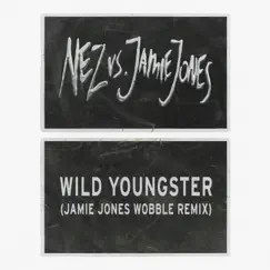 Wild Youngster (feat. ScHoolboy Q) [Jamie Jones' Wobble Remix] - Single by NEZ & Jamie Jones album reviews, ratings, credits