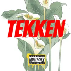 Tekken - Single by WashFit album reviews, ratings, credits