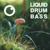 Liquid Drum & Bass Sessions 2020 Vol 39 album lyrics, reviews, download
