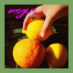 Citrus - Single by Mogus album reviews, ratings, credits