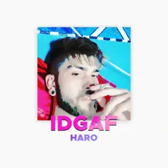 Idgaf - Single by Haro & prodbyxbs album reviews, ratings, credits