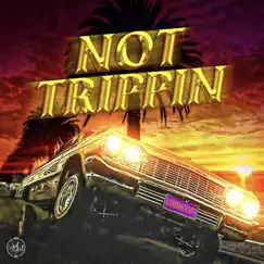 Not Trippin' - Single by LowKeezy album reviews, ratings, credits
