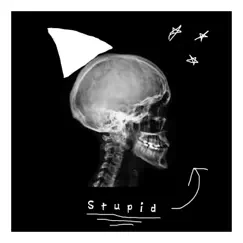 Stupid - Single by 1magine album reviews, ratings, credits