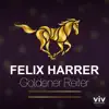 Goldener Reiter - Single album lyrics, reviews, download