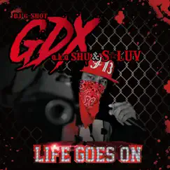 LIFE GOES ON (feat. GDX a.k.a SHU & S☆LUV) - Single by DJ G-Shot album reviews, ratings, credits
