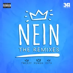 Nein (Nico Brey Remix) Song Lyrics
