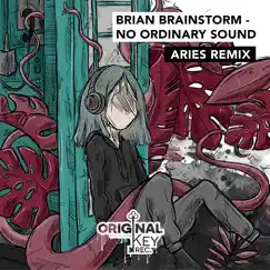 No Ordinary Sound - Single by Brian Brainstorm album reviews, ratings, credits