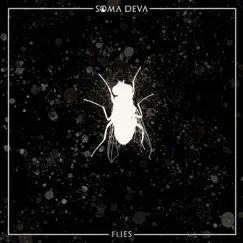 Flies by SŌMA DEVA album reviews, ratings, credits