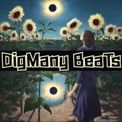 Sunflower - Single by Digmanybeats album reviews, ratings, credits