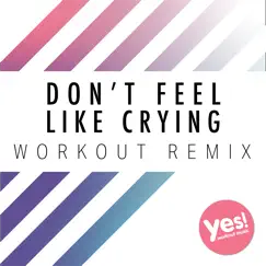 Don't Feel Like Crying (Workout Remix) Song Lyrics