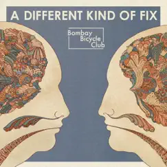 A Different Kind of Fix by Bombay Bicycle Club album reviews, ratings, credits